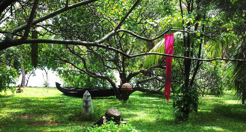 Sarovaram Backwater Resort & Ayurvedic Spa, Kollam 1